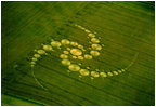 Crop Circle