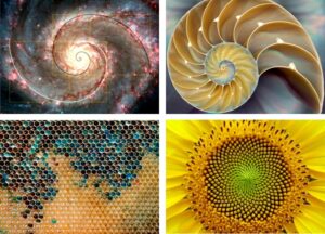Phil Gruber Sacred Geometry